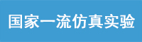 国家一流仿真实验